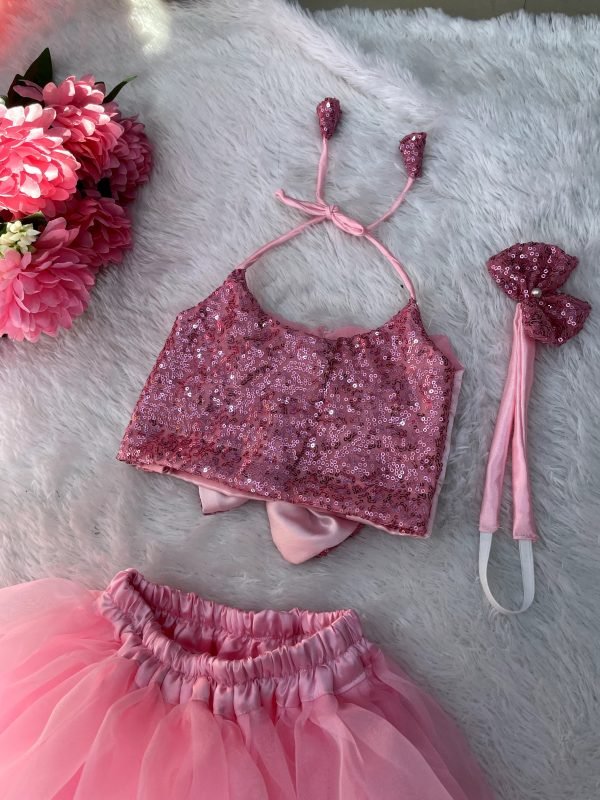 Pink Crop Top And Skirt For Baby Girl Pink Tulle Net Handworked