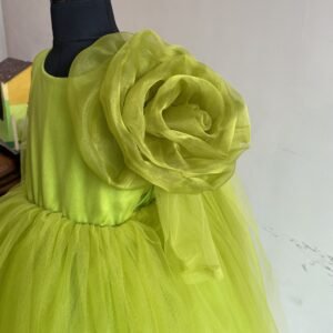 Green frock collection: NZD-00100 - Image 2