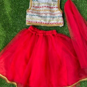 Red colour Top & Skirt Party wear design top & skirt collection |Birthday wear top & skirt : NZD-0010120 - Image 1